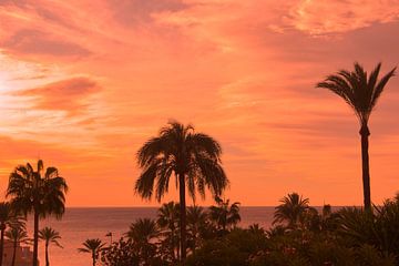 Een kleurrijke zonsopgang aan de Costa del Sol van Berthold Werner