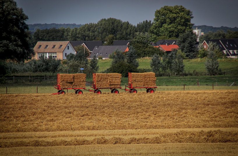 Hay bales on carts by Karlo Bolder