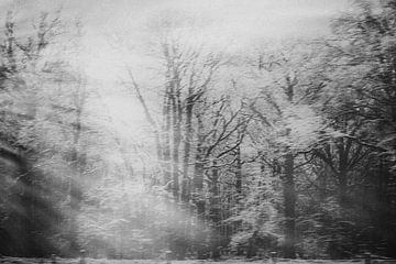 Paysage hivernal d'arbres en noir et blanc sur Imaginative