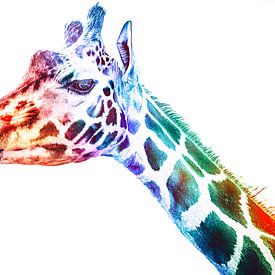 Expressionismus Andy Warhol Pop-Art - Art Style Giraffe von Jakob Baranowski - Photography - Video - Photoshop