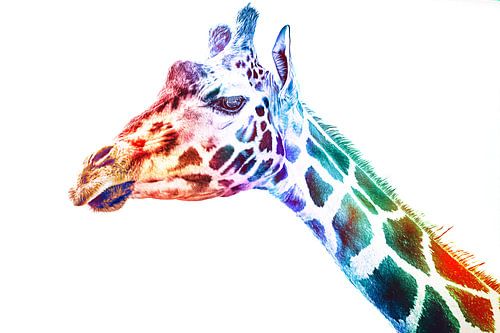 Expressionisme Andy Warhol Pop Art - Kunst Stijl Giraffe