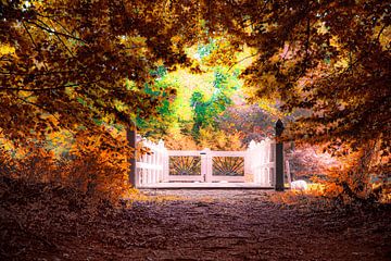 Autumn fence in Elswout van Marc Hollenberg