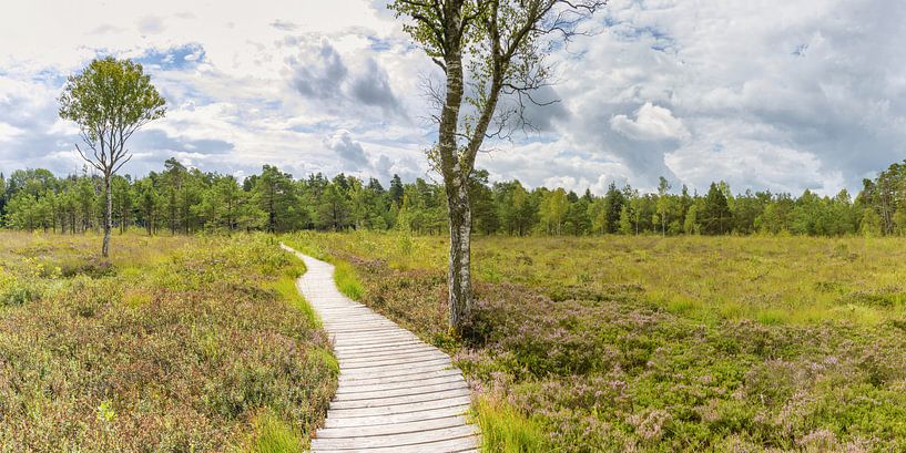 Weg durch das Wurzacher Ried von Walter G. Allgöwer