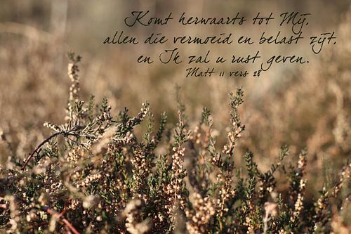 Bijbeltekst Mattheüs 11 vers 28 Statenvertaling