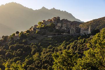 Tralonca, Corsica, Frankrijk van Jan Schuler