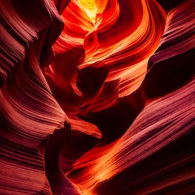 Antilope Country van Truckpowerr