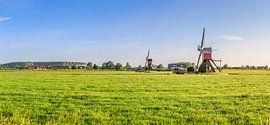 Panorama van weidelandschap met twee wipmolens bij Hoogmade van Henk van den Brink