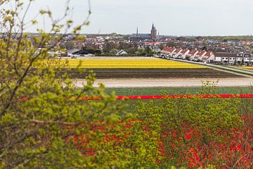 Uitzicht op het bloemenveld en Noordwijk-Binnen van Yanuschka Fotografie | Noordwijk