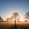 Zonsopkomst met nevel over het land van Henk Groenewoud