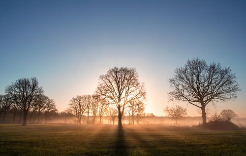 Sonnenaufgang mit Dunst über dem Land
