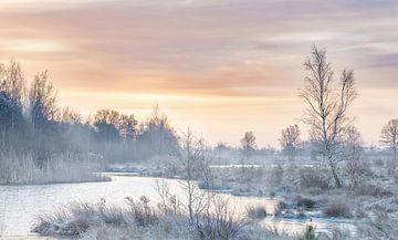 Winter landschap van Aline Nijland