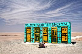 Felgekleurde Toiletten in de Woestijn