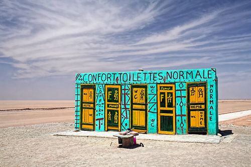 Brightly colored toilets in the desert