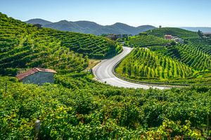 Eine kurvenreiche Straße durch die Prosecco-Weinberge bei Valdobbiadene