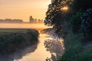 un ruisseau, de la brume et le soleil levant sur Tania Perneel