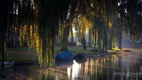 Coucher de soleil zélandais