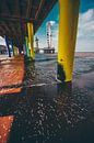 Under the Pier by Chris Koekenberg thumbnail