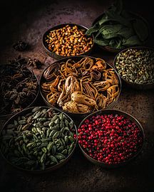 Herbs and Spices by Laura van Driel
