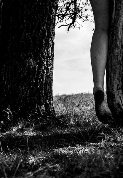 Les pieds dans la lande par Crystal Clear