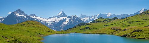 spectaculair alpenpanorama, Bachalpsee en Zwitserse bergen