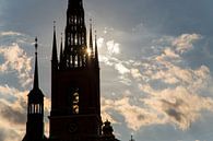 die Kirche in Stockholm von Karijn | Fine art Natuur en Reis Fotografie Miniaturansicht