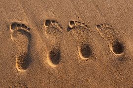 Van groot naar Klein von Marcel van der Voet