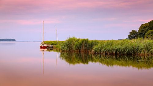 Vroege ochtend bij Moritzdorf, Rügen, Duitsland