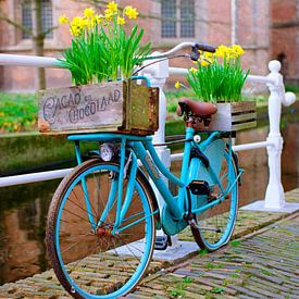 Dutch bicycle with daffodils by Floris Trapman