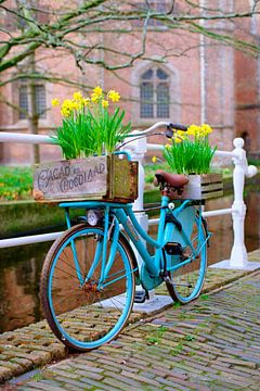 Vélo hollandais avec jonquilles