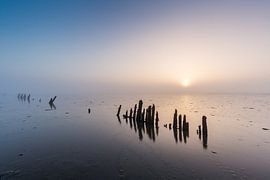 The endless mudflats. by Ton Drijfhamer