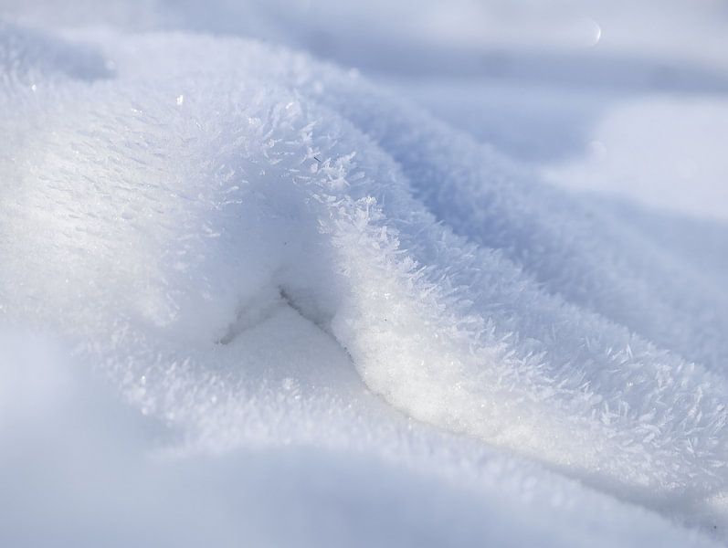 snow blanket by Marieke Funke