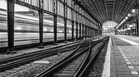Railway lines by Scott McQuaide thumbnail