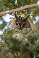I see you and you see me