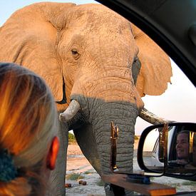 Ingrid Boellaard Profilfoto