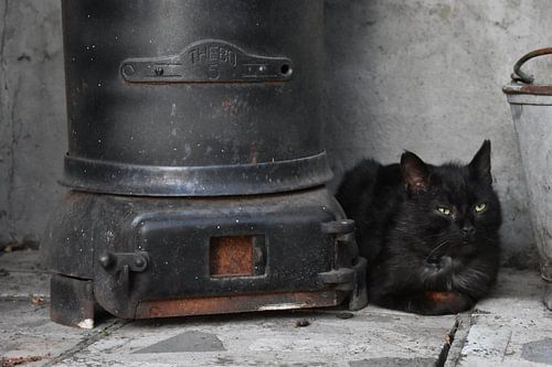 Zwarte kat bij zwarte kachel op black friday