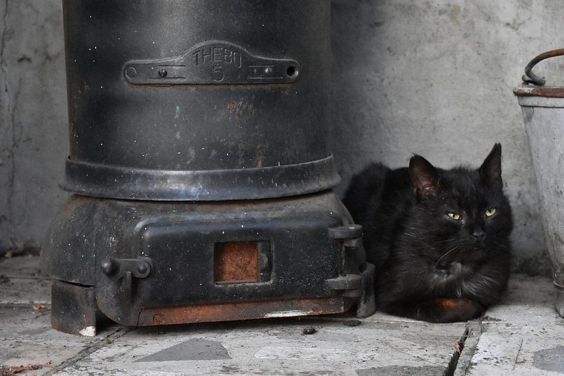 Zwarte kat bij zwarte kachel op black friday by Gonnie van Hove