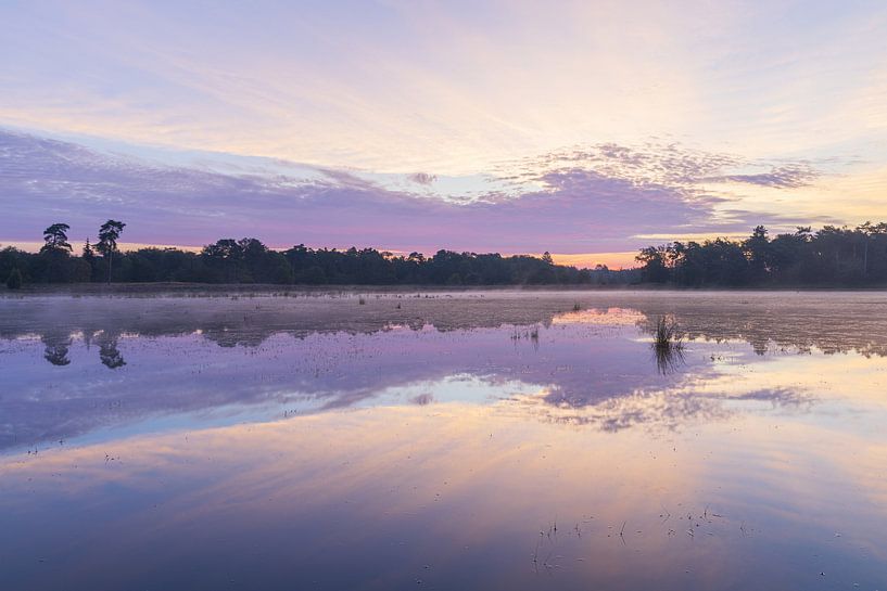 Sunrise Dwingelderveld - Drenthe (Netherlands) by Marcel Kerdijk