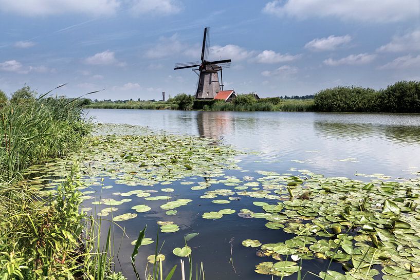 Molen in Kinderdijk par Ab Wubben