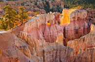 Bryce Canyon par Jan Schuler Aperçu