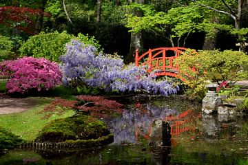Japanse tuin van Ton van Buuren