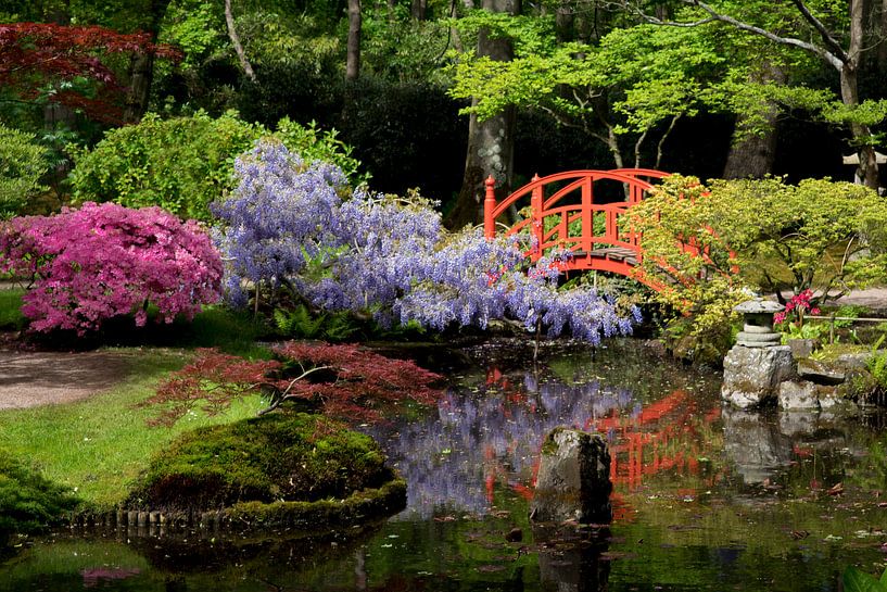 Jardin japonais par Ton van Buuren