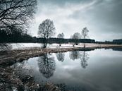 Weiherweisen im Winter von Max Schiefele Miniaturansicht