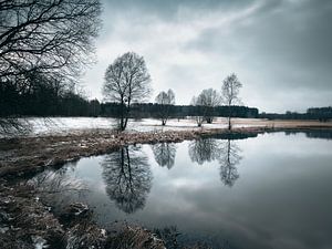 Weiherweisen im Winter