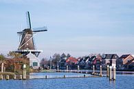 De Salamander molen van Alejandro Vivas thumbnail