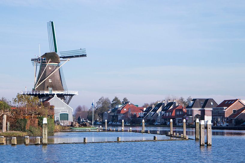 De Salamander molen van Alejandro Vivas