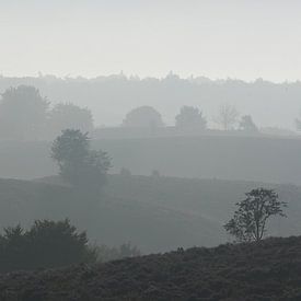 Ochtendnevel by Ron van Elst