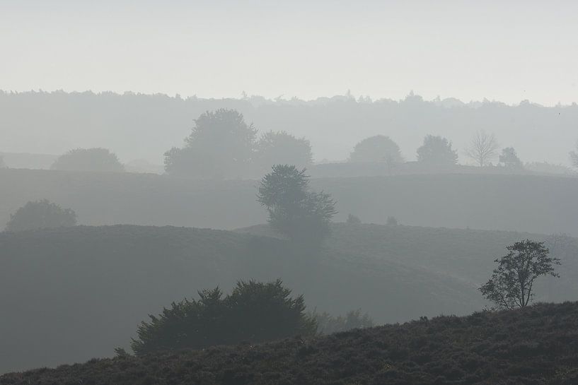 Ochtendnevel von Ron van Elst