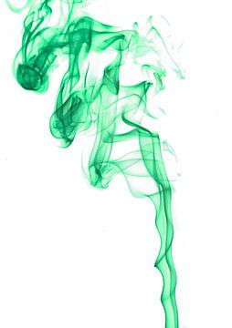 Groene rook van David Dirkx