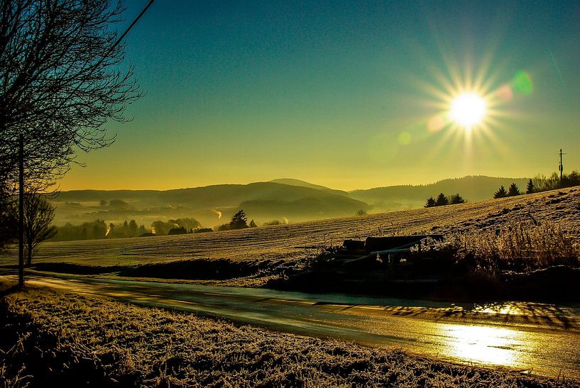 Winter Sun by Norbert Sülzner