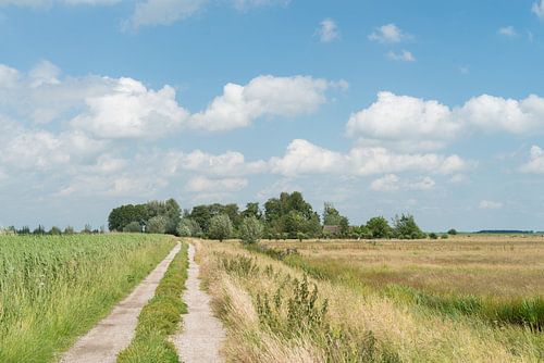 Polderweggetje in de Donkse Laagten, Alblasserwaard